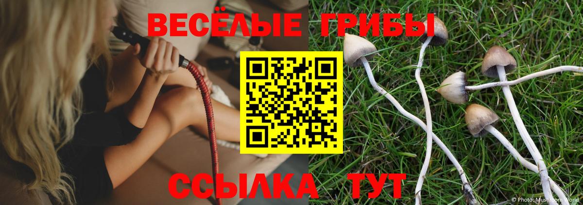 Псилоцибиновые грибы ЛСД  Вход с VPN  Псилоцибиновые грибы Psilocybe  Кстово 