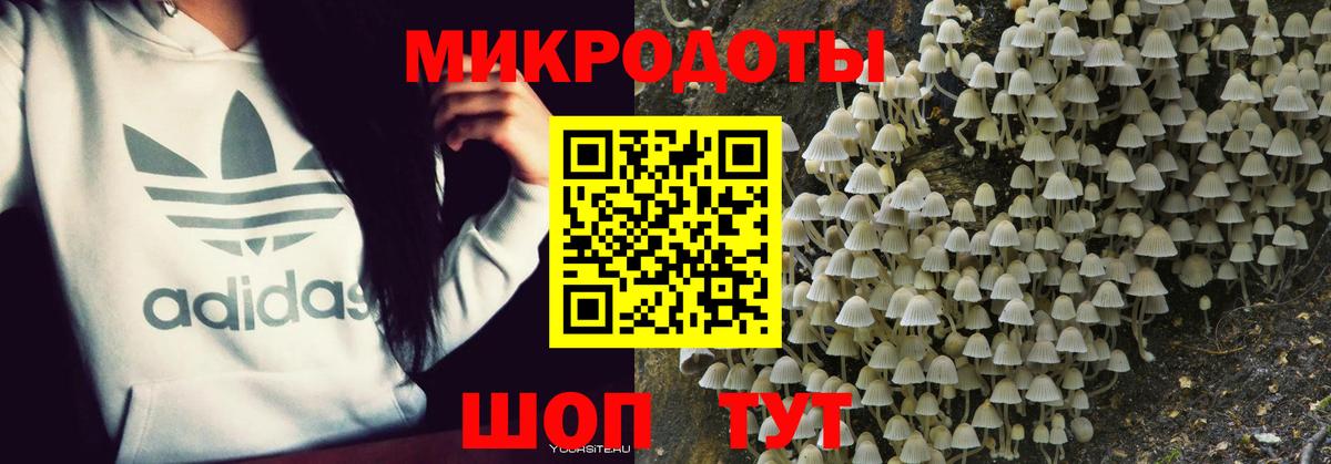 Галлюциногенные грибы мицелий Кстово